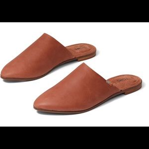 Toms Jutti Mule